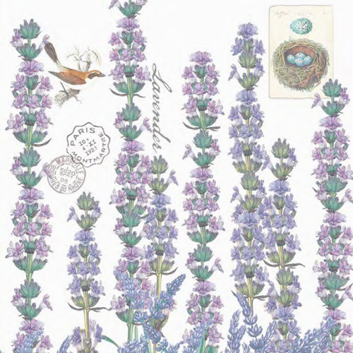 Lavender Rosemary Collection