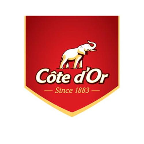 Côte d'Or Mignonnette lait 120pcs - Alaerts Shop